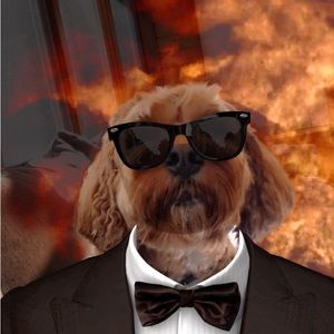 Meet your Posher, Maddy